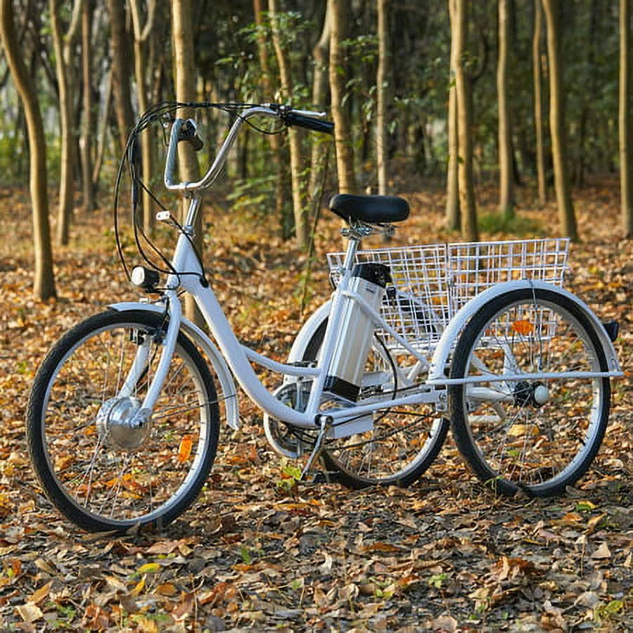 24inch 3 Wheel Electric Tricycle with 250w Motor W799