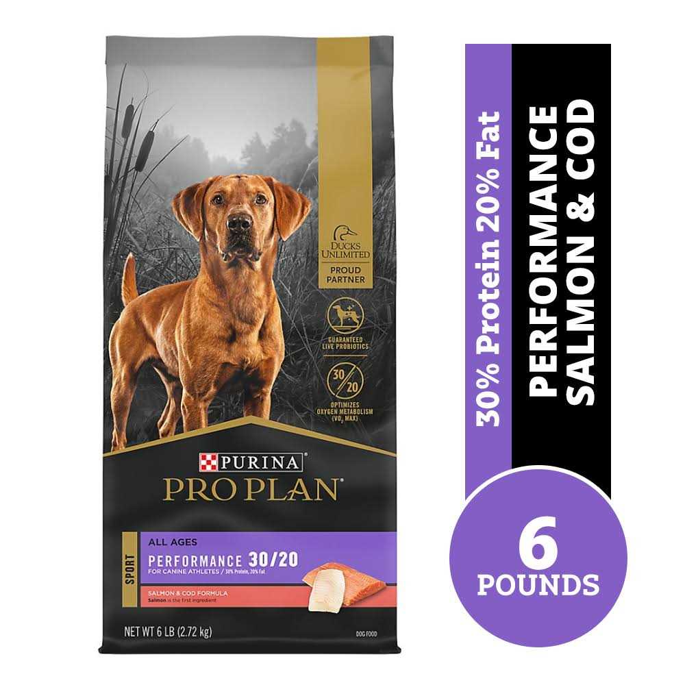 Dry Dog Food A42777