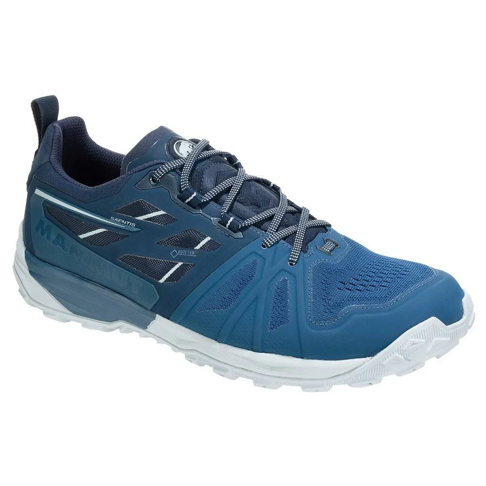 Wing Teal Low GTX Hiking Shoes B47882