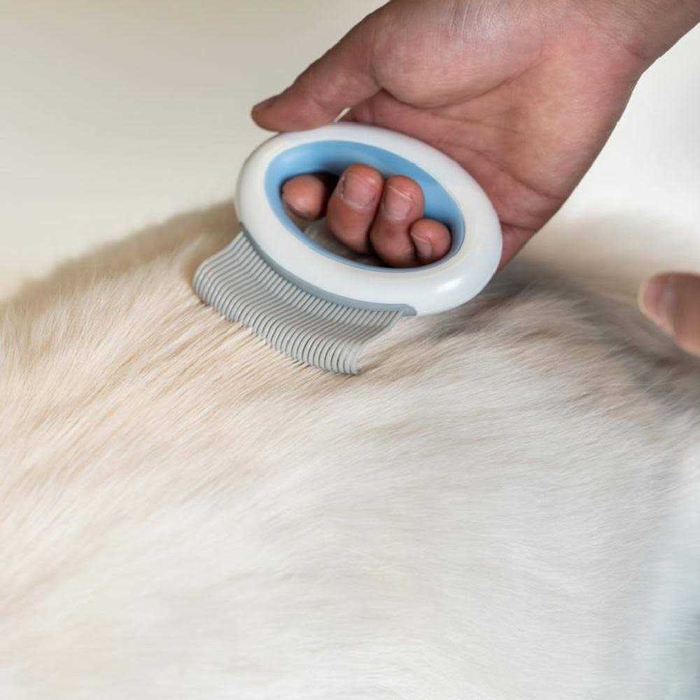 Handheld Flexible Pet Grooming Rake Comb C5876
