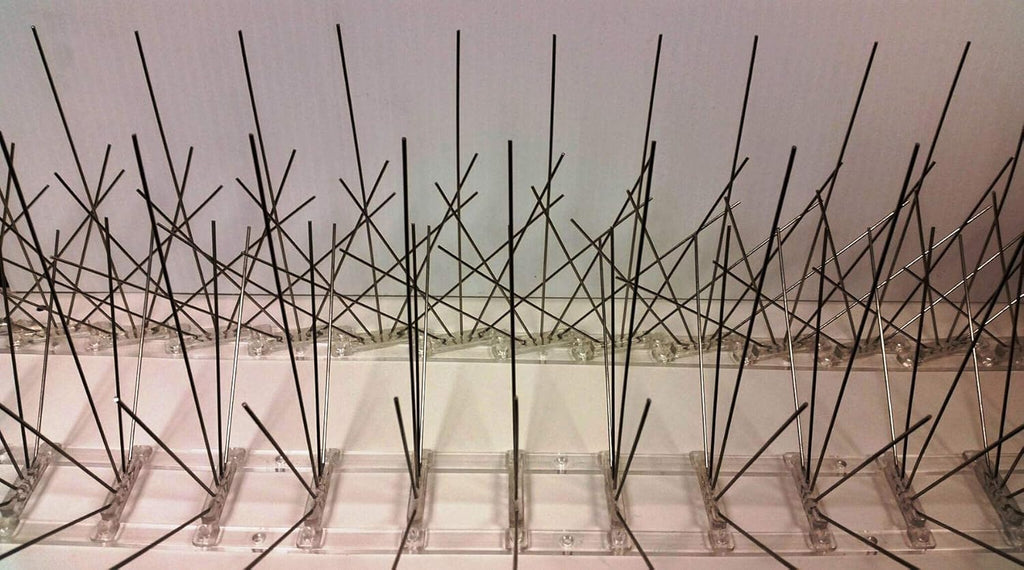 Heavy-Duty Adjustable Bird Spikes 100 ft Q6194