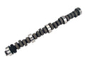 Xtreme Energy Camshaft V52067