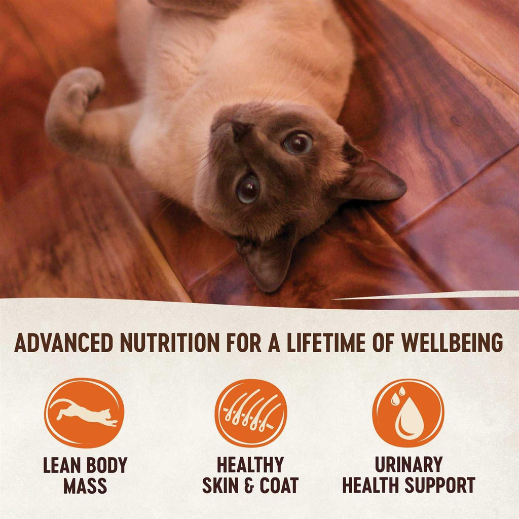 Grain-Free Turkey & Chicken Liver Pate Canned Kitten Food R8861