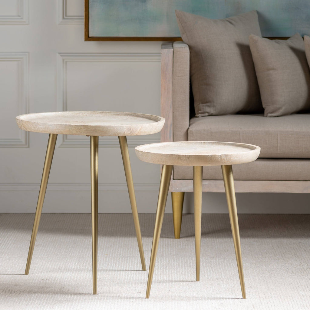 Mango Wood Tray Top Accent Tables with Antique Brass Metal Legs - Set of 2 Y24943