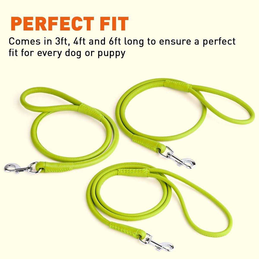 Soft Leather Round Leash D949