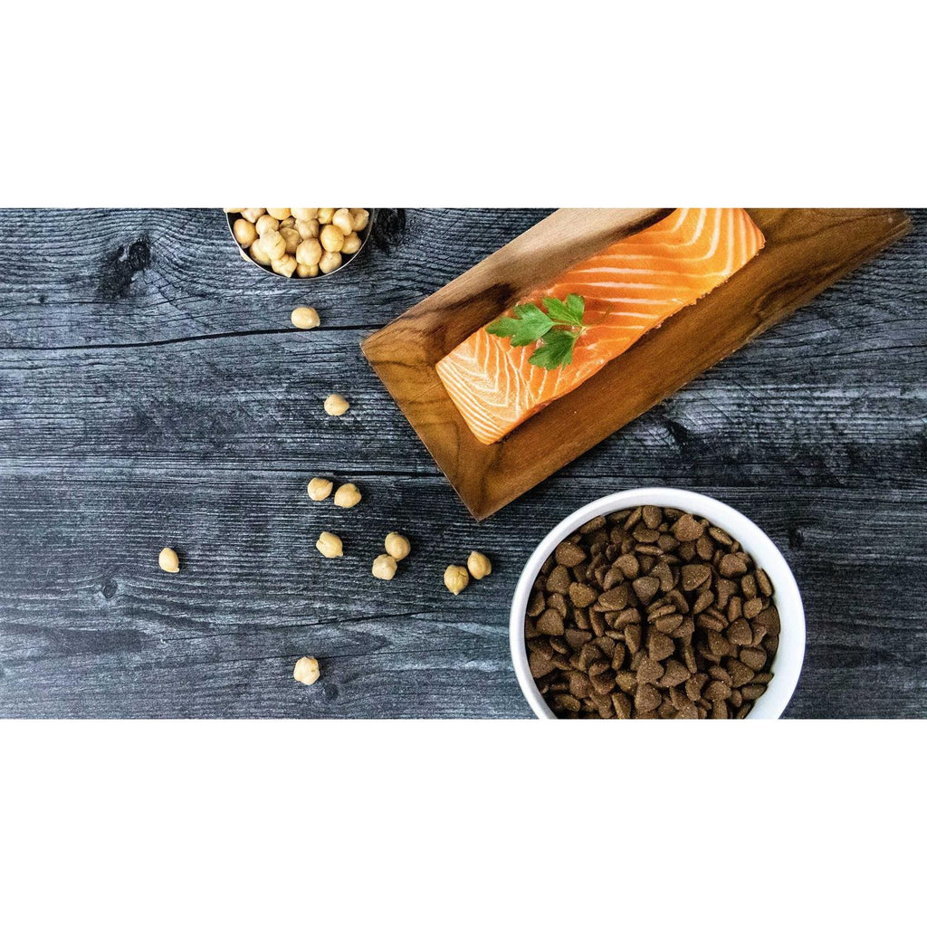 Salmon Recipe Grain-Free Dry Dog Food W16861