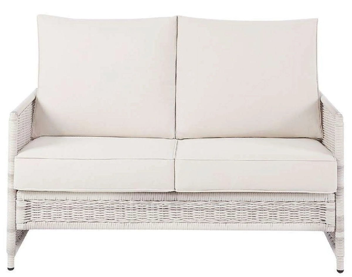 Wicker Outdoor Loveseat with Cushions Z485712