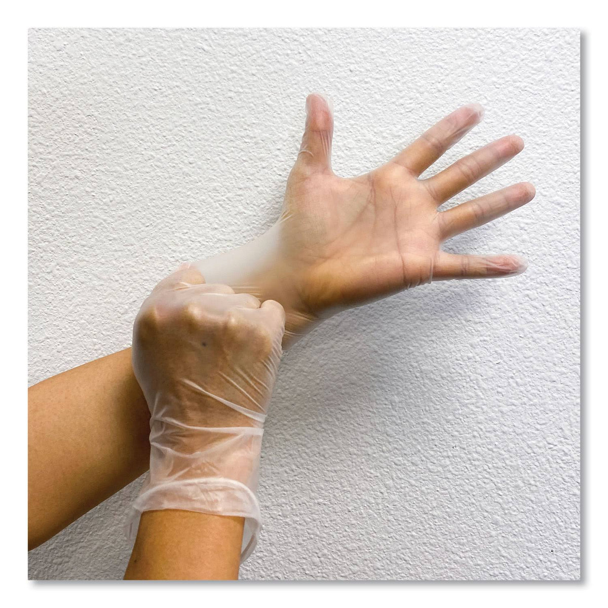 Clear X-Large Vinyl Gloves 1,000/Carton X163976