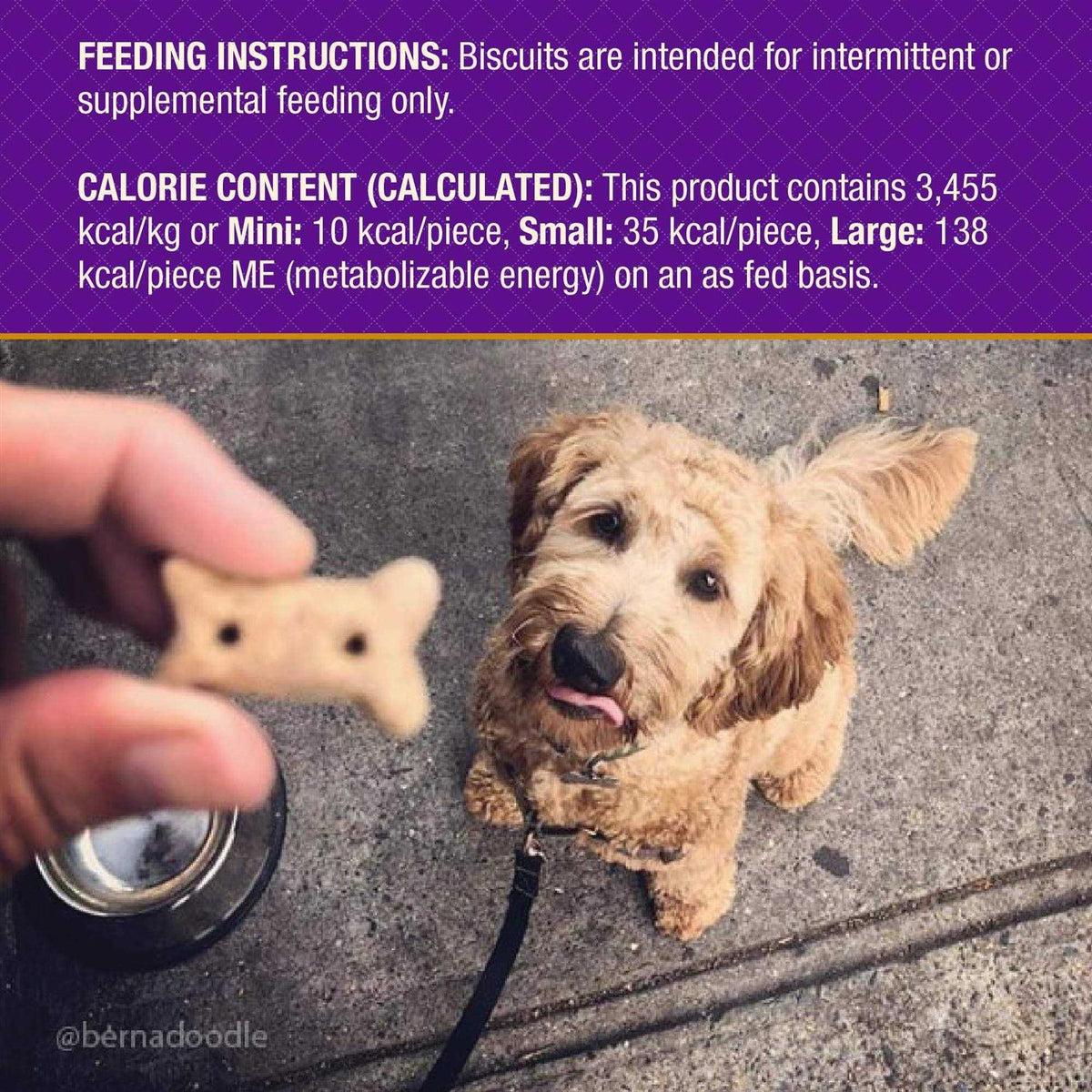 Baked Dog Treats Z127
