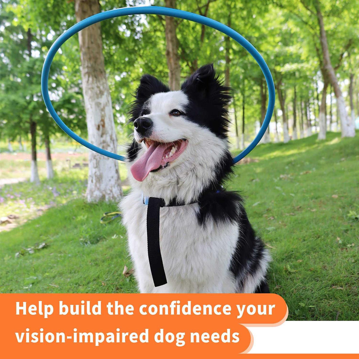 Blind Dog Harness Guiding Device C697597