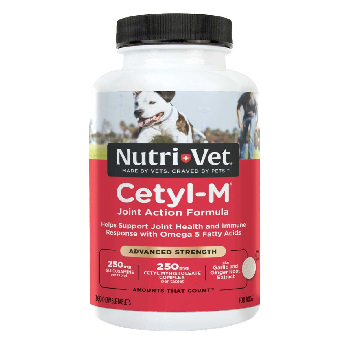 Joint Action Formula for Dogs A846