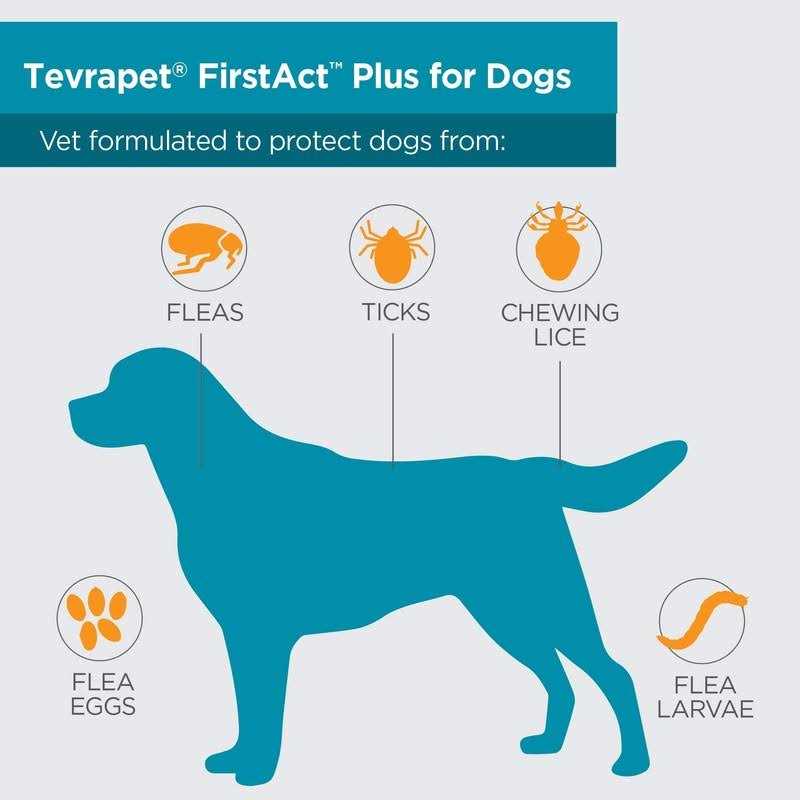 Flea and Tick Prevention Dogs K689
