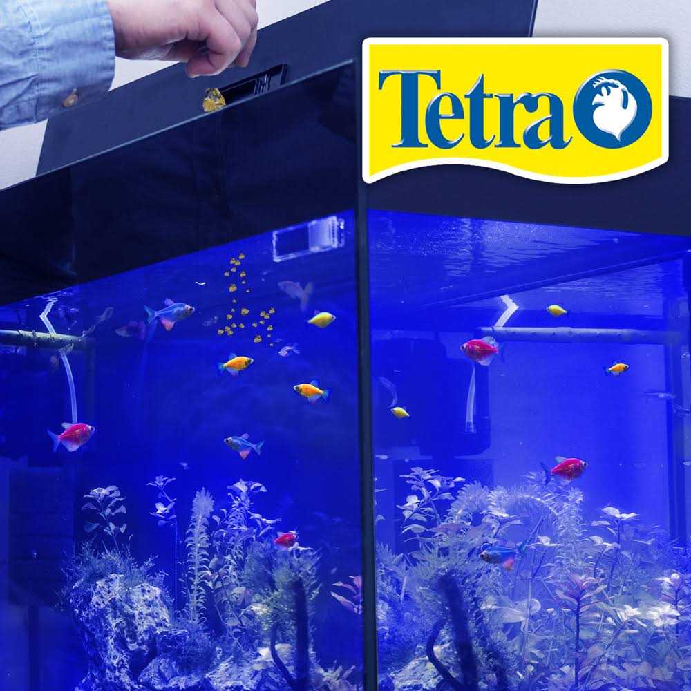 Flake Fish Food G78936