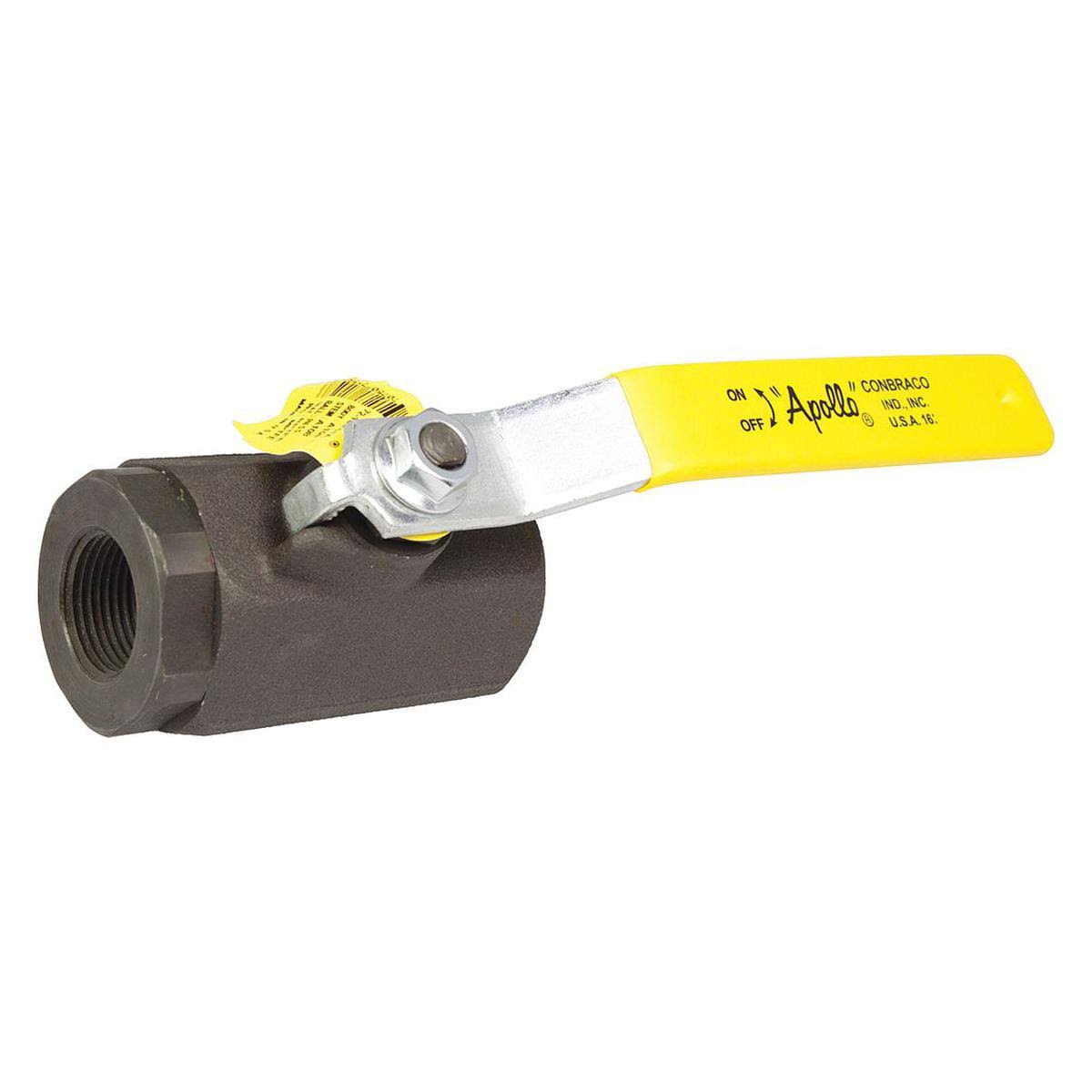 2x22 FNPT Carbon Steel Ball Valve Inline Z6631