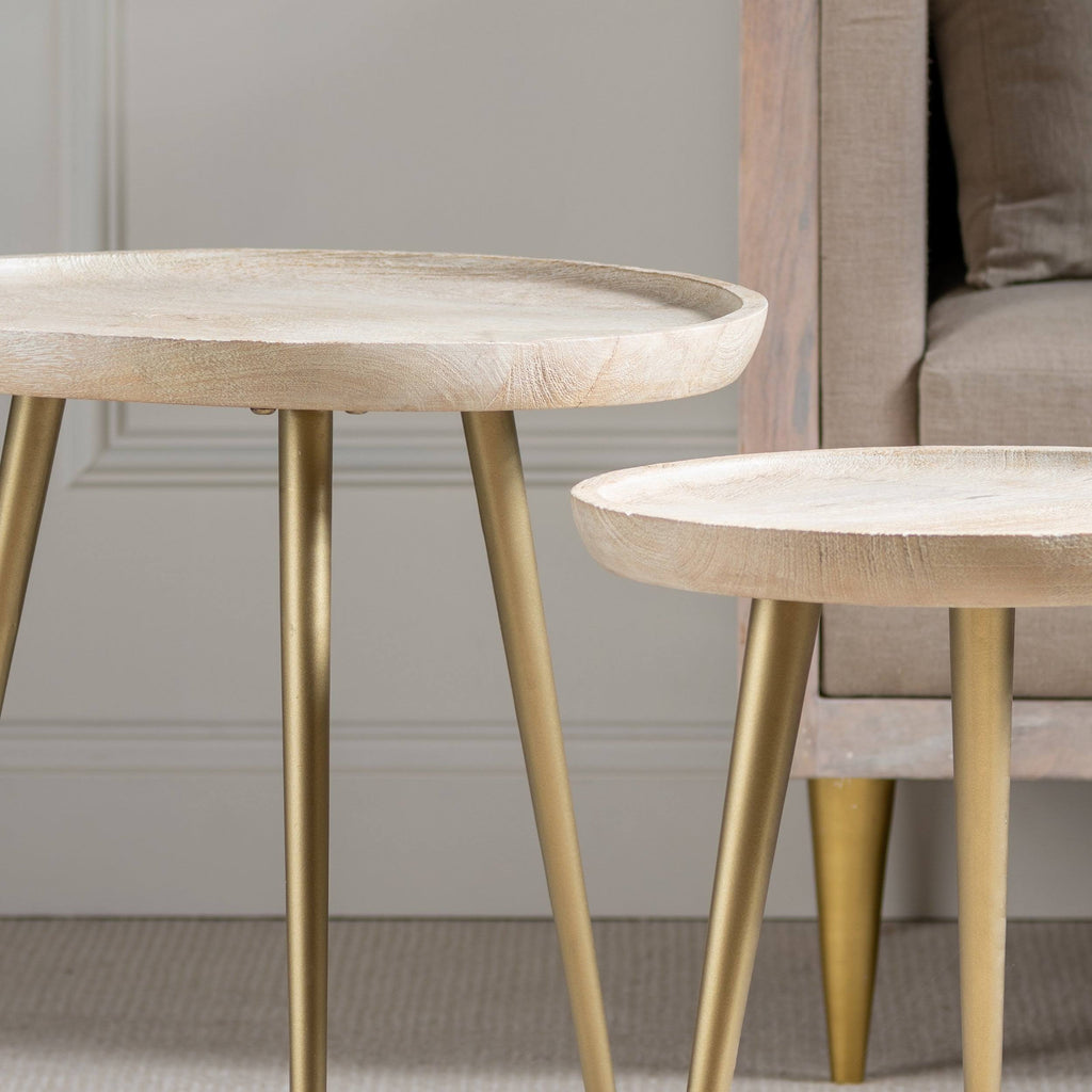 Mango Wood Tray Top Accent Tables with Antique Brass Metal Legs - Set of 2 Y24943