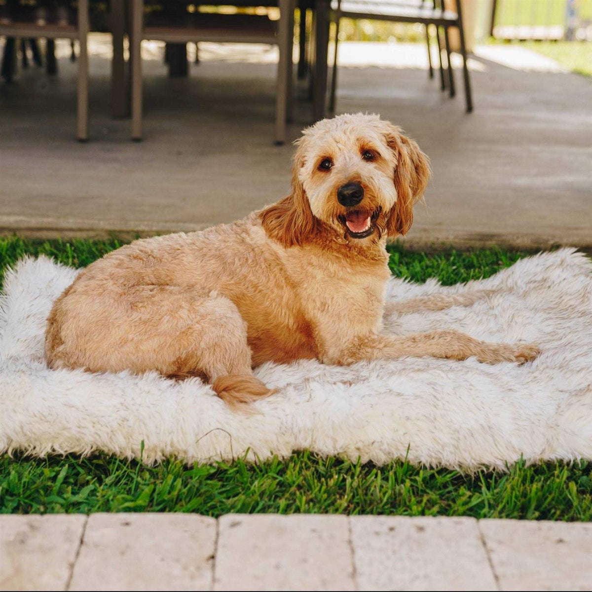 White Portable Orthopedic Dog Bed V75491