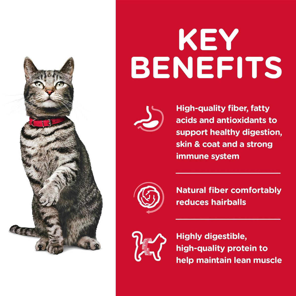 Adult Dry Cat Food Z712545