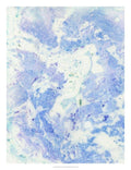Marble Fog Giclee Canvas K50059