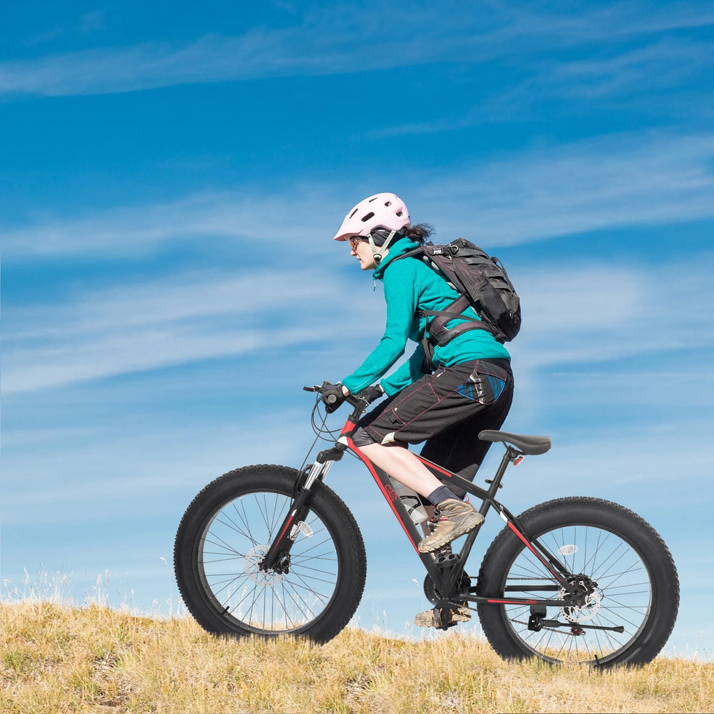 26 Fat Tire Mountain Bike 21 Speed High Carbon Steel Frame R561717