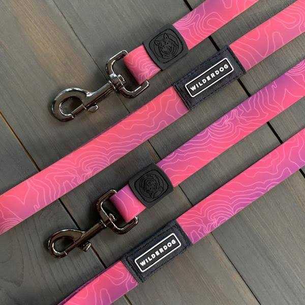Waterproof Leash Y312399