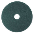 Blue Cleaner Pad 22 in 5/Case S365174