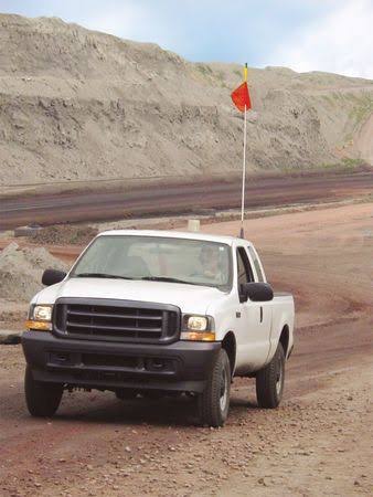 Warning Whip, 10 Ft, Flag P62835