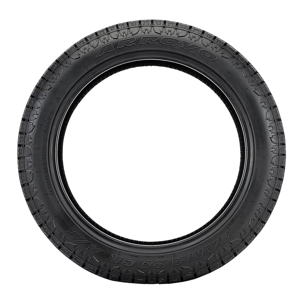 All Season 255/45R19 104W XL Passenger Tire N267