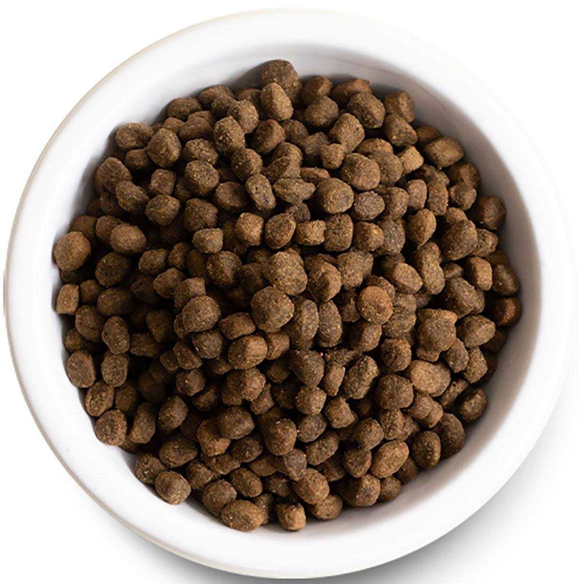 Grain Free Grass Fed Beef Dry Dog Food E943296