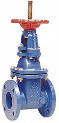 2-1/2 in. Class 250 Gate Valve M196