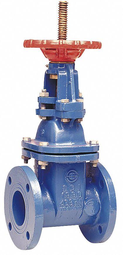 2-1/2 in. Class 250 Gate Valve M196