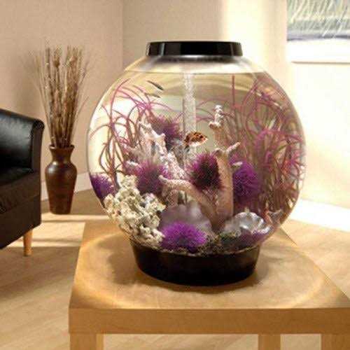 Classic 60 Aquarium with LED G84015