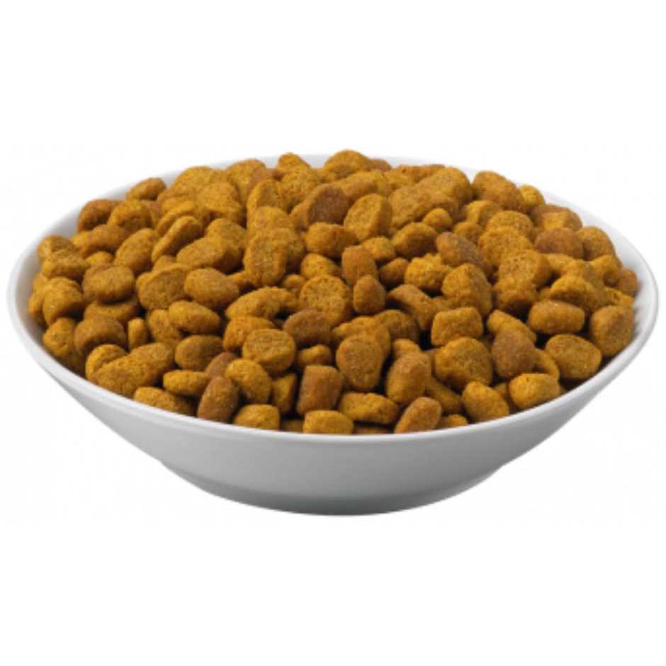 Overweight Management Formula Dry Cat Food L8945
