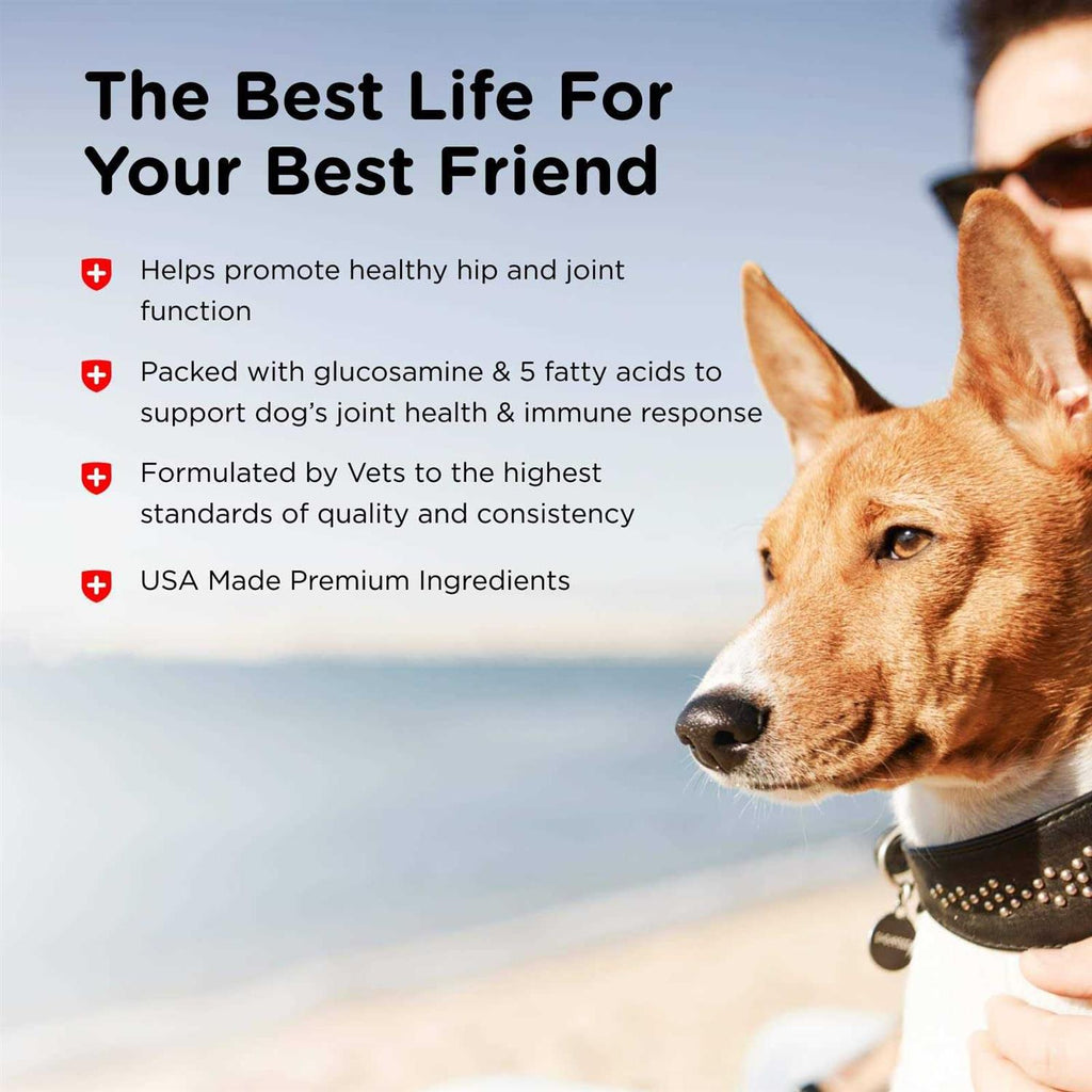 Joint Action Formula for Dogs A846