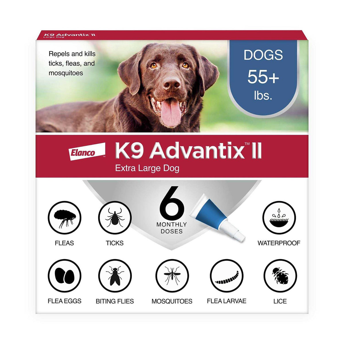 Extra Large Dogs Pet Supplies R336