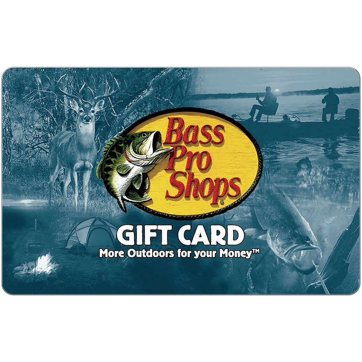 Gift Card P113