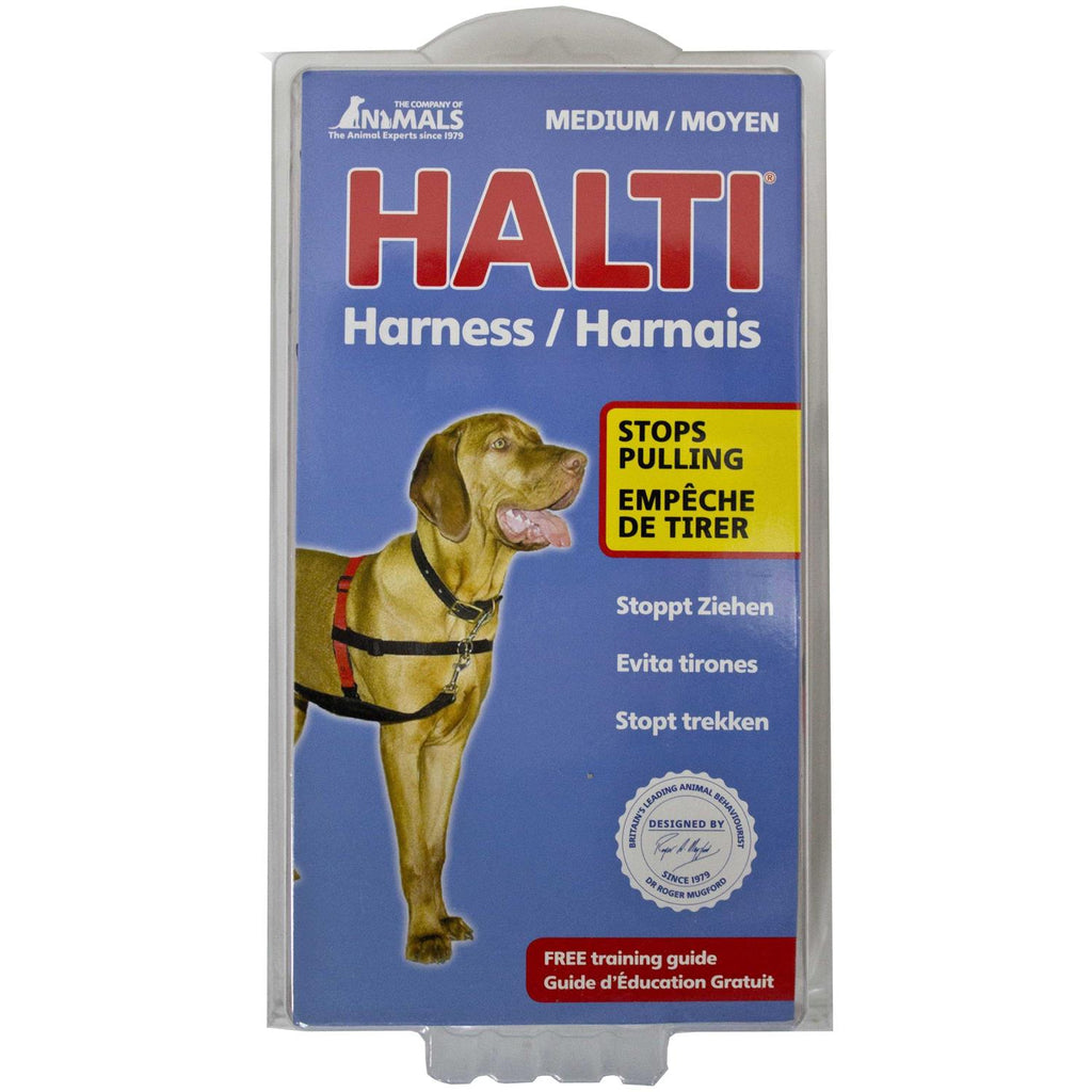 Harness O667204