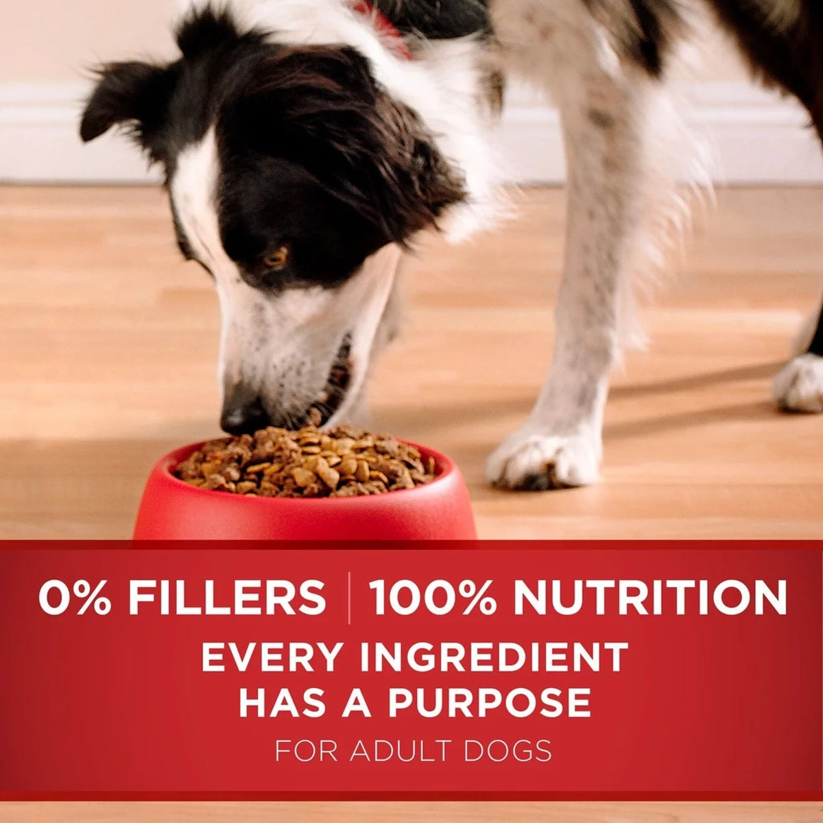 Lamb & Rice Formula 44 Pounds Dog Food H310