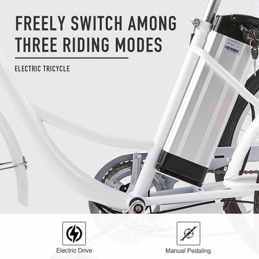 24inch 3 Wheel Electric Tricycle with 250w Motor W799