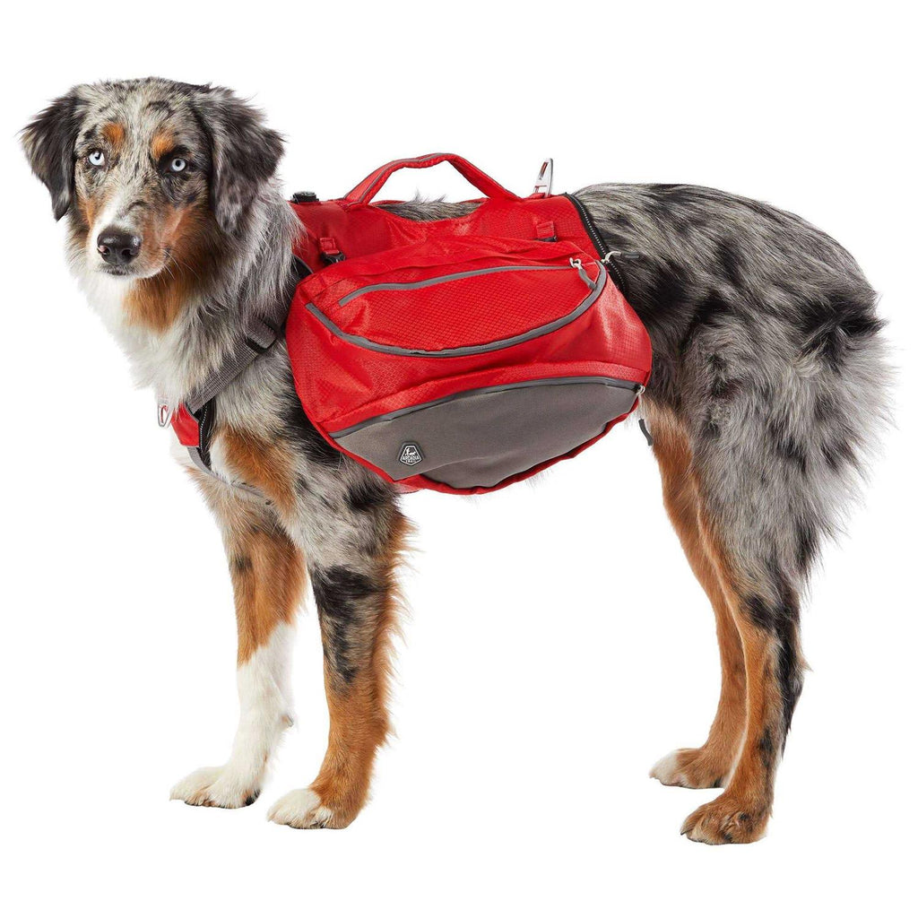 Backpack Harness F355980