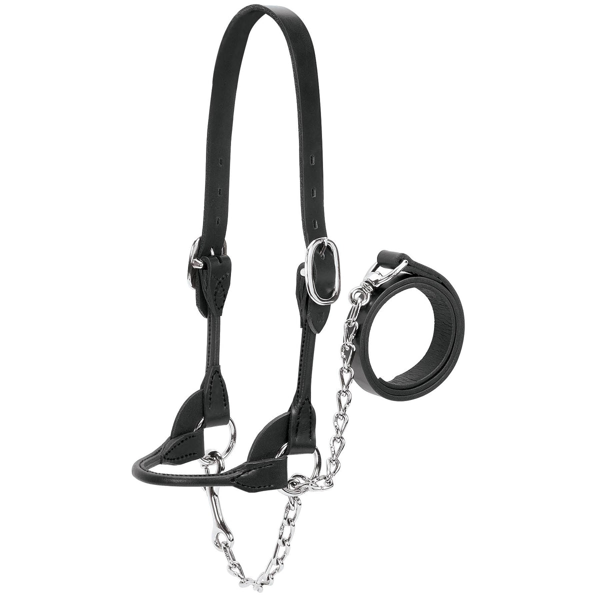 Large Black Leather Show Halter D5195