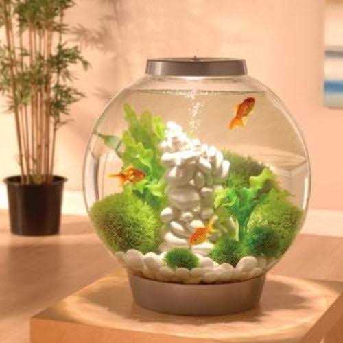 Classic 60 Aquarium with LED G84015