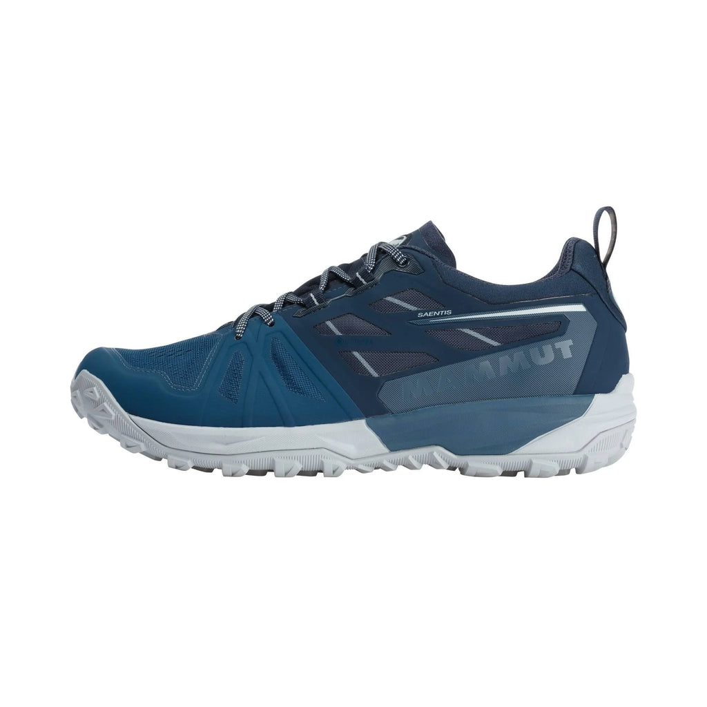 Wing Teal Low GTX Hiking Shoes B47882
