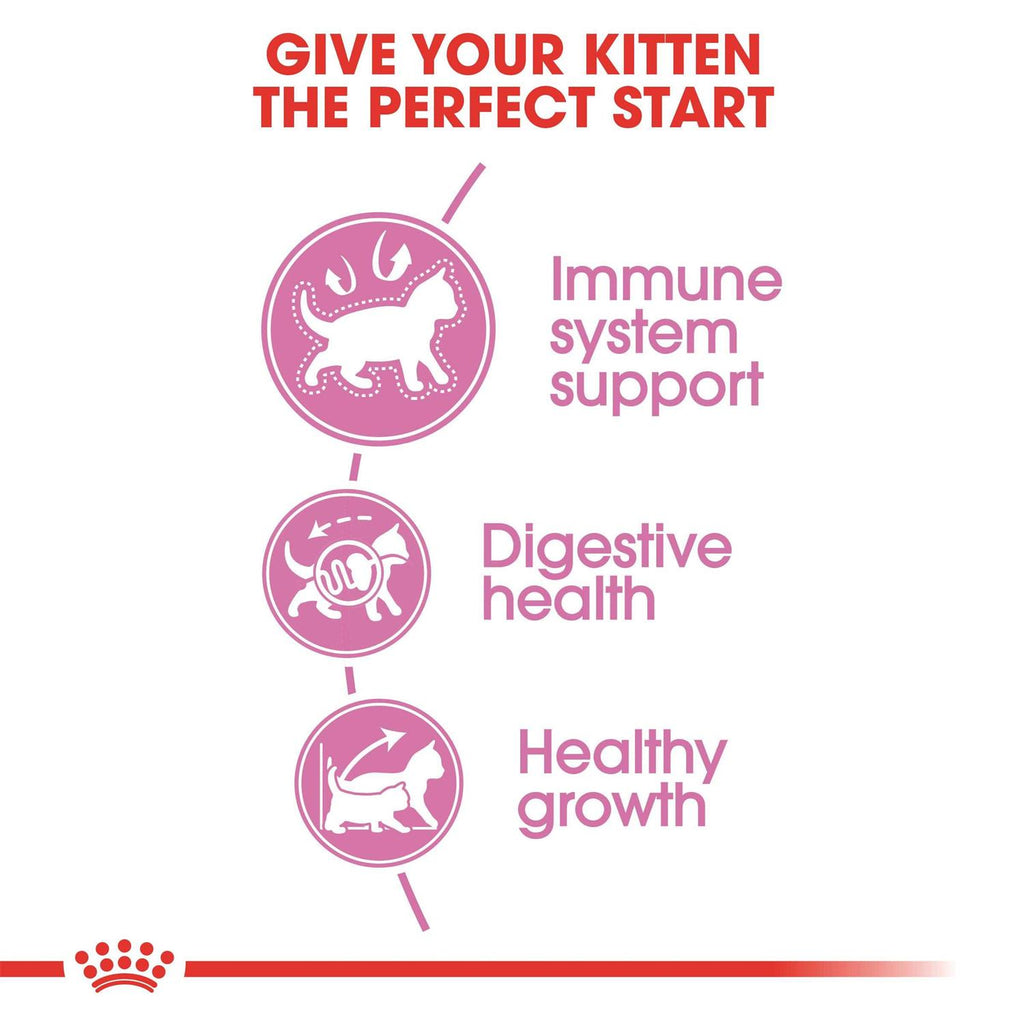 Kitten Dry Cat Food N5898