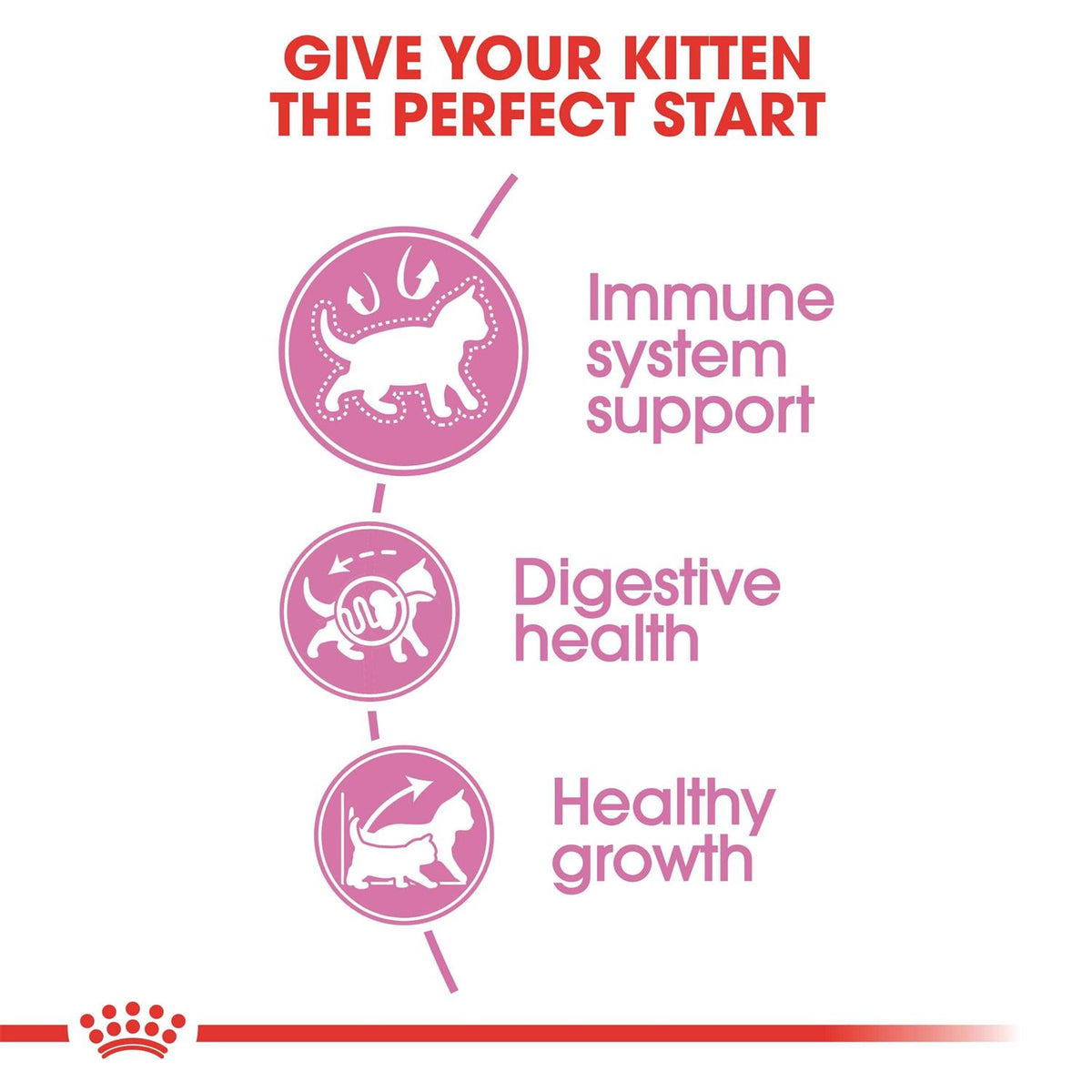 Kitten Dry Cat Food N5898
