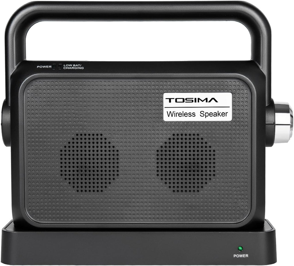 Wireless TV Speakers with Headset Jack N354