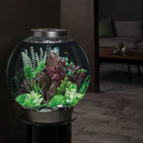 Classic 60 Aquarium with LED G84015