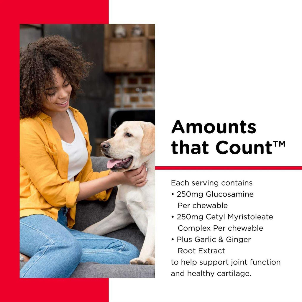 Joint Action Formula for Dogs A846