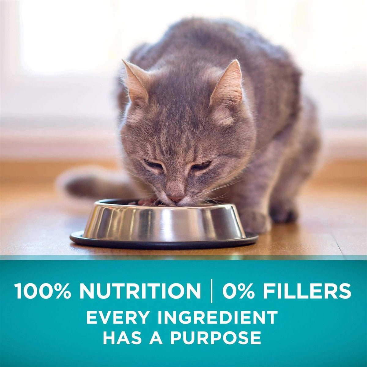 Natural High Protein Grain Free Dry Cat Food P2820
