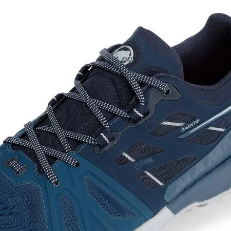 Wing Teal Low GTX Hiking Shoes B47882
