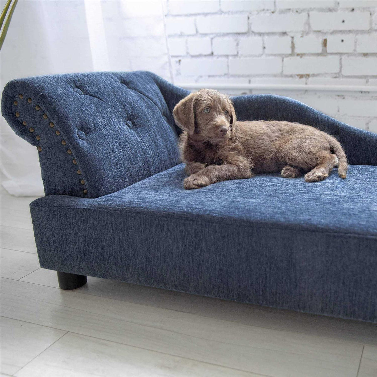 Solana Chaise Dog Bed P134821